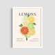 Постер Roomy "Lemon Variety" Без рамки A3 (42x29.7 cm) - зображення 2