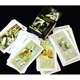 Карти Таро Декамерон (Tarot Decameron) od-30612 - зображення 2