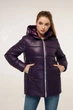 Куртка В-1272 Favoritti 54 Індиго Тон 14 + Тон 33 (4900000245769) - изображение 1