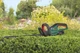 Аккумуляторный бесщеточный кусторез Bosch UniversalHedgeCut 18V-50 solo (0600849K00) - изображение 9