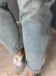 Джинсы женские Dicesil 9157 Mom jeans comfort высокая талия стрейчевые ремень веревка 25 светло голубые - изображение 5