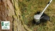 Аккумуляторная бесщеточная ручная газонокосилка Bosch AdvancedGrassCut 36V-23-750 + аккумулятор 36 В 2 Ач + зарядное устройство AL 36V-20 (06008C1K03) - изображение 9