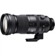 Объектив Sigma AF 150-600mm f/5-6.3 DG DN OS S (Sony-E) - изображение 1