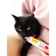 Паста GimCat Every Day Malt-Soft Paste Extra для кошек выведение шерсти из желудка 200 г - изображение 4