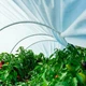 Парник, теплиця з агроволокна 5 м. 60/м² MAKSIAGRO - изображение 4