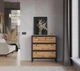 Тумба в стиле лофт EcoLoft IN-2420 - изображение 1