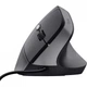 Мышка Trust Bayo II Ergonomic USB Black (25144) (246272) - изображение 2