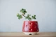Керамический горшок для растений Mini Plant размер XS 4,9х5,2см Красный Сердечки - изображение 1