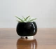 Керамический горшок для растений Mini Plant маленького размера 6,2х6,3см Круглый Черный - изображение 3