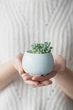 Керамический горшок для суккулентов Mini Plant маленького размера 6,2х6,3см Круглый Голубой - изображение 1