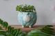 Керамический горшок для растений Mini Plant Овечка Животное мятная, размер 10,5 x 9,5 см - изображение 1