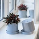 Керамический горшок для растений Mini Plant 9х11,5см Цилиндр Серый - изображение 2