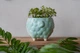 Керамический горшок для растений Mini Plant Овечка Животное мятная, размер 10,5 x 9,5 см - изображение 7