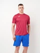 Футболка спортивна довга чоловіча Joma Combi 100052.560 L Фуксія (8445456707721) - зображення 1