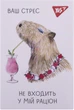 Набор блокнотов YES Capybara А7 В клетку 48 листов х 40 шт (4823092291004) - изображение 9