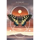Карты Руны: Путеводитель животных - Animal Guide Rune Cards. Blue Angel - изображение 2