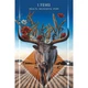 Карты Руны: Путеводитель животных - Animal Guide Rune Cards. Blue Angel - изображение 3