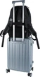 Рюкзак Kite Education teens 44.5x29.5x15 см 16 л (K25-2721L-2) - зображення 17