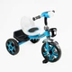 Дитячий Велосипед-велобіг 2 в 1 Best Trike BS-24513 - зображення 1