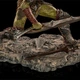 Статуэтка Iron Studios LORD OF THE RINGS Swordsman Art Scale 1/10 (Властелин колец) - изображение 2