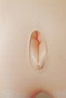 Секс-кукла You2Toys Naughty Housewife (05868000000000000) - изображение 6