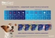 Жевательные таблетки от блох, клещей и гельминтов для собак Boehringer Ingelheim NexGard Spectra (НексГард Спектра) весом 30-60кг (XL) 3 таблетки 157585 - изображение 4