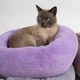 Лежанка для животных Funny Animals круглая 45 х 45 х 13 см Лавандовая (МС 160401-05) - изображение 7