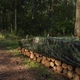 Тент камуфляжний 6х12м 90гр/м2 Захисний натяжний з люверсами від сонця та дощу - зображення 4