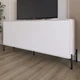 Тумба под телевизор с черными металлическими ножками LION Амарант 168x40x76,5 см Самоа Дымчатый/Белый (LION-043025) - изображение 1