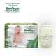 Подгузники Clealry Herbal Bamboo размер 3 5.5-8 кг 28 шт (850004427699) - изображение 2