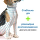 Ошейник Elanco (Bayer) Foresto (Форесто) від бліх та кліщів для собак 70 см (4007221038191) - зображення 5