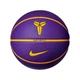 Універсальний Баскетбольний М'яч Nike Everyday All Court Kobe Bryant(N.101.2522.512.07) 7 - зображення 1