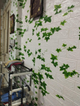 3D панель самоклеящаяся StickerWall декоративная 770х700х3 мм белая с плющем - изображение 9