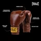 Боксерські рукавички Everlast 1910 CLASSIC TRAINING GLOVES тренувальні 12 oz із застібкою на липучці (E7806A7EEF52) - зображення 4