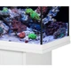 EHEIM aquastar 63 marine LED Морський акваріумний комплект на 63 л білий - зображення 5
