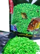 Добавка флуорисцентна пасточіно SPECIALIST Green 400г - зображення 2
