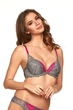 Бюстгальтер push-up Kinga 65G Сірий-Фуксія (110580) - зображення 1