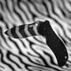 Ніж Zero Tolerance Tiger Stripes 0350TS - зображення 6