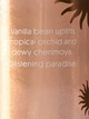 Спрей для тіла Victoria's Secret Vanilla Playa Shimmer Fragrance Mist 250мл (26966812) - изображение 2