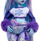 Кукла Monster High Abbey Bominable Yeti Эбби Боминейбл с питомцем (HNF64) - изображение 4
