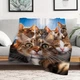 Плед 3D селфи коты 160х200 см. - изображение 2