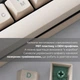 Клавиатура Ducky One 3 Cherry MX Speed Silver UA USB Matcha Cream (DKON2108-PUAPXMAEGGC1) - изображение 6