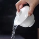 Гайвань фарфоровая Белая Яшма 150 мл. Ash Gaiwan (76D741EB5192) - изображение 7