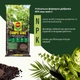 Торфосуміш Compo Sana для зелених рослин і пальм 20 л (1451) - изображение 4