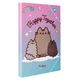 Папка для праці Yes Pusheen "Кошенятко" А4 картонна на резинках рожево-блакитна (500236) - зображення 1