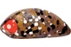 Воблер Lucky John Haira Tiny 44F 44мм 7г (HAT44F-503) - зображення 2