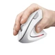 Trust Мышь Verto Ergonomic, WL Белый - изображение 6