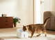 Поїлка для тварин Xiaomi Smart Pet Fountain 2 3L (6941812788127) - зображення 11