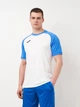 Футболка спортивная длинная мужская Joma Teamwork 102218.207 2XL Белая (8424309597948) - изображение 1