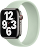 Ремінець Apple Solo Loop для Apple Watch 45mm Size 12 Mineral Green (MN4P3) - зображення 1